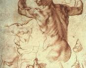 Study for The Libyan Sibyl - 米开朗基罗